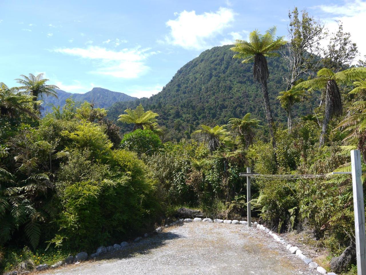 Franz Josef Treetops Dış mekan fotoğraf